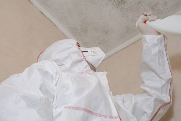 Best Mold Testing  in Dumas, AR